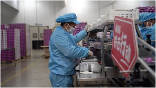 拼多多 農云行動 力推云南藍莓破圈